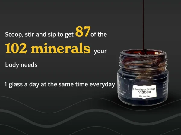 Pure Himalayan Shilajit Resin (High Potency) - Image 4